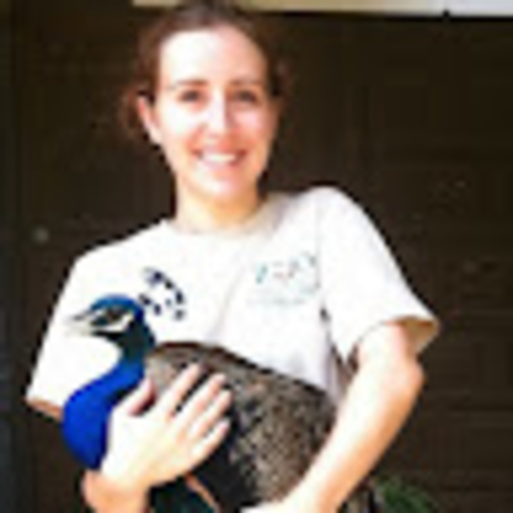 Meet your Posher, Rebecca